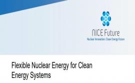 New Report Highlights Nuclear Flexibility in Clean Energy Systems